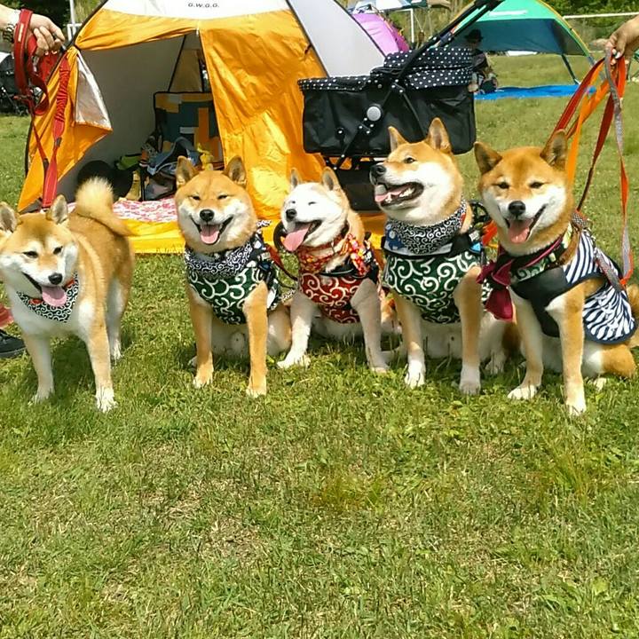 86ac8cdb 4450 4523 8206 aa7637f4a5e2 1558883275183