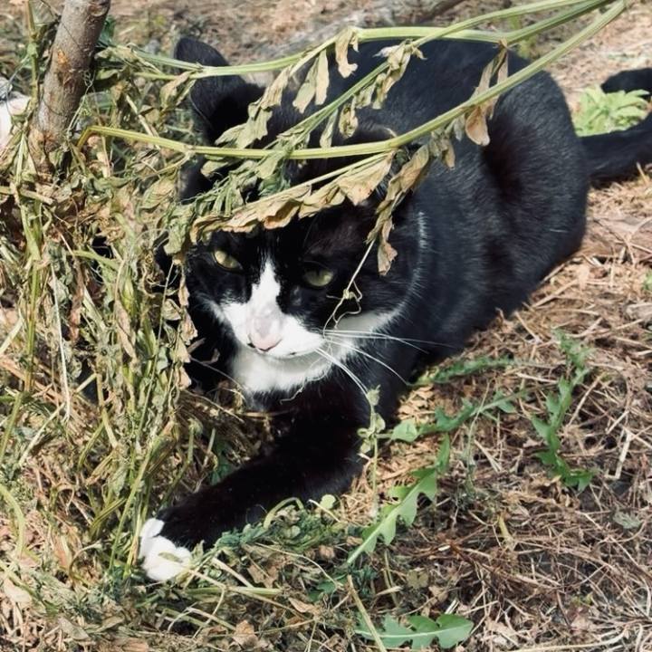 86ac943d e816 4d77 b8cf 7b1addbbb85e 1744787566259