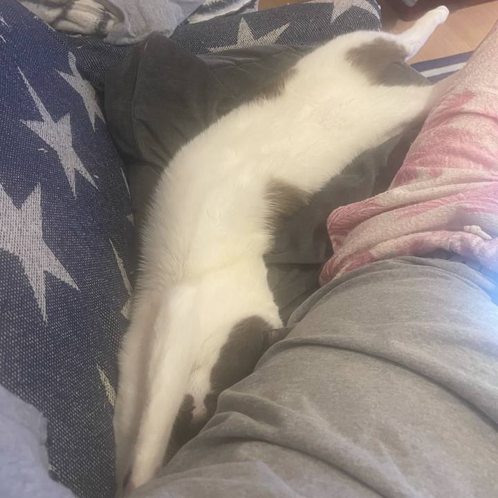 86acb281 bc0e 4752 9d7d bc372e02399d 1625814137989