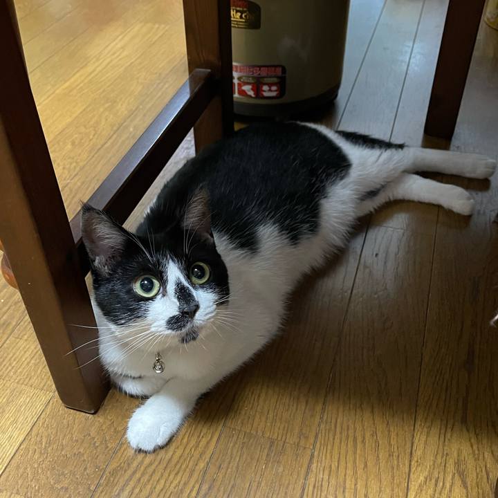 86acbc6c 145f 4845 b3a2 2edc1d0c6cda 1754520756910