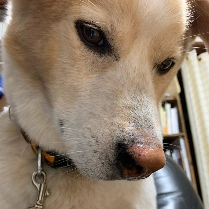 86ace382 27e8 43b2 9adf 797f0c4cc236 1604931822482