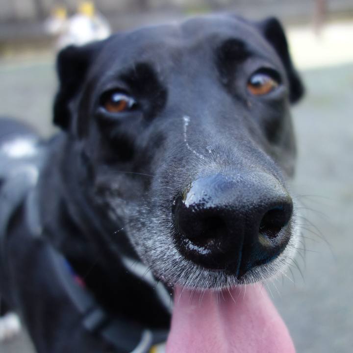 86ad3559 8c7d 42c8 8c29 87eb9a0c6f67 1653351799369