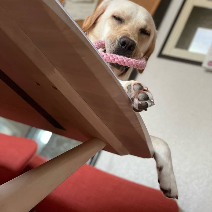 86ad4f28 f0a5 4fee 8601 8d8b2d2df637 1661811035109