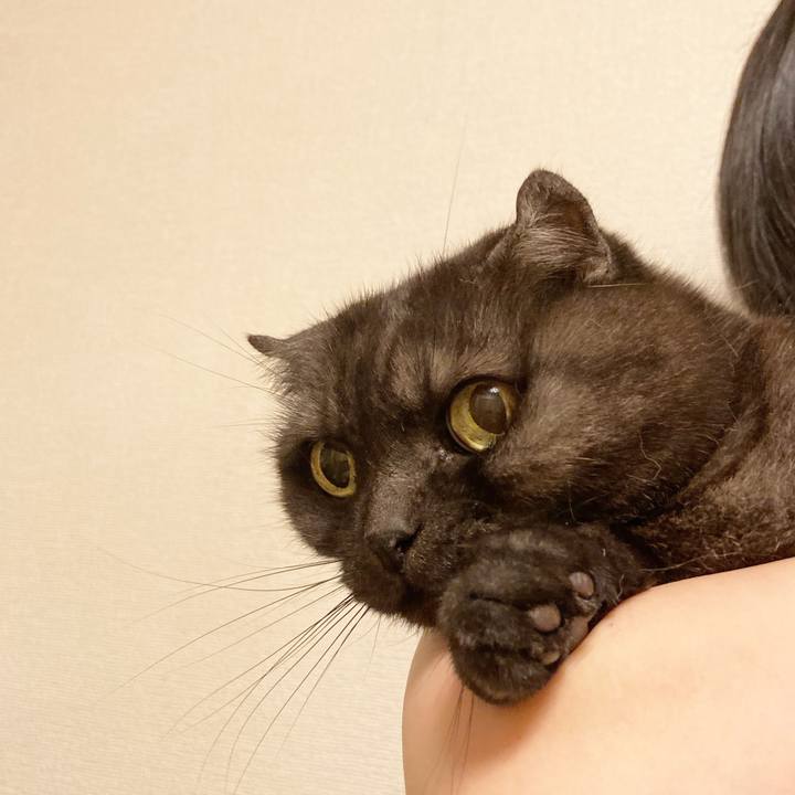 86ad8fa0 92dd 41d8 a482 0bae744e60a2 1589735231344