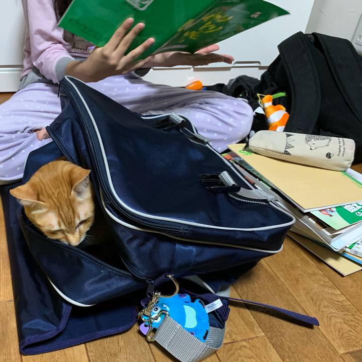 86adf01e 4880 492f bbcf d38f10e0fbbf 1555420801796