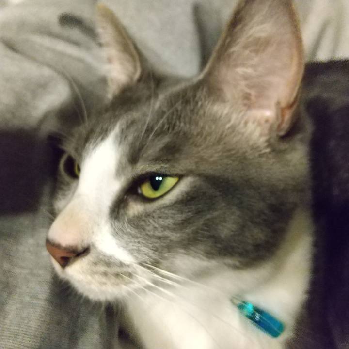 86adf35d a14a 4b5e be6e c80a03a31439 1618178103033