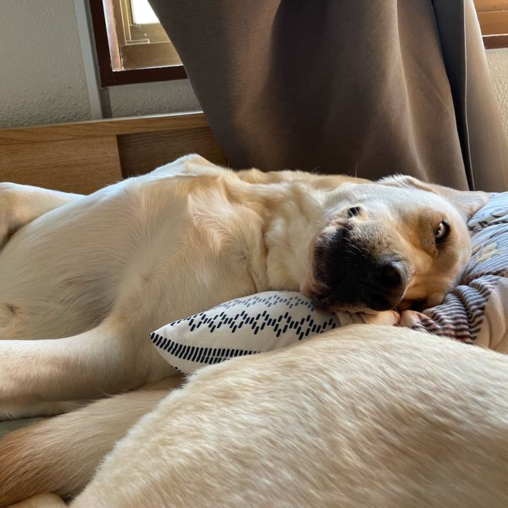 86ae284b 0ca6 4e1f bf0a a2c8279b025d 1666325341753