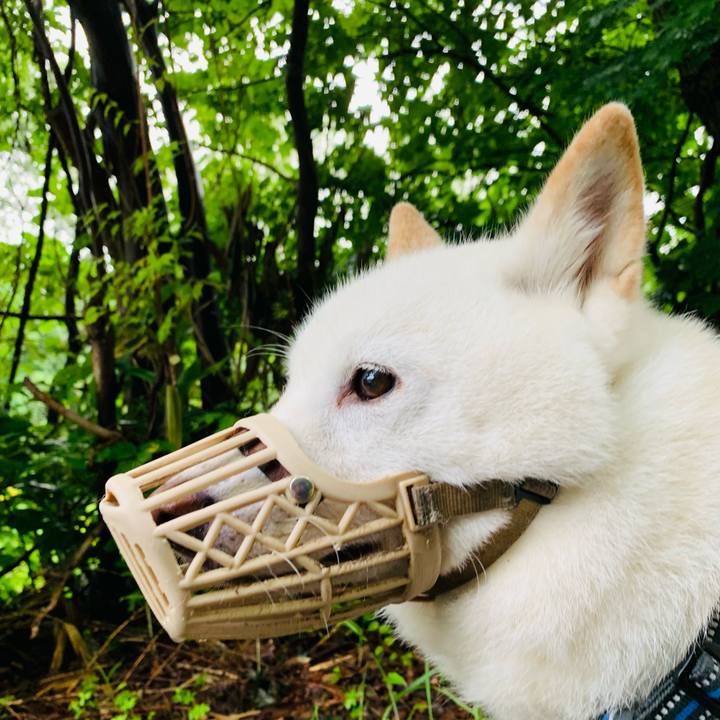 86ae3e6b ba85 4fc6 bfe1 737c907abbf0 1625691701802