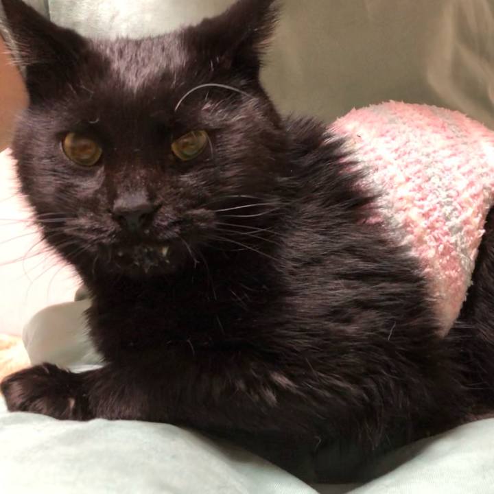 86aed491 15db 48e2 a827 3a45d44d4656 1642714355234