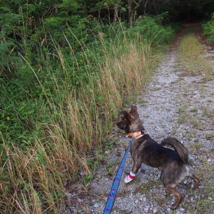 86aee683 c85d 4a7d bfb7 5ec94b490756 1547431638702