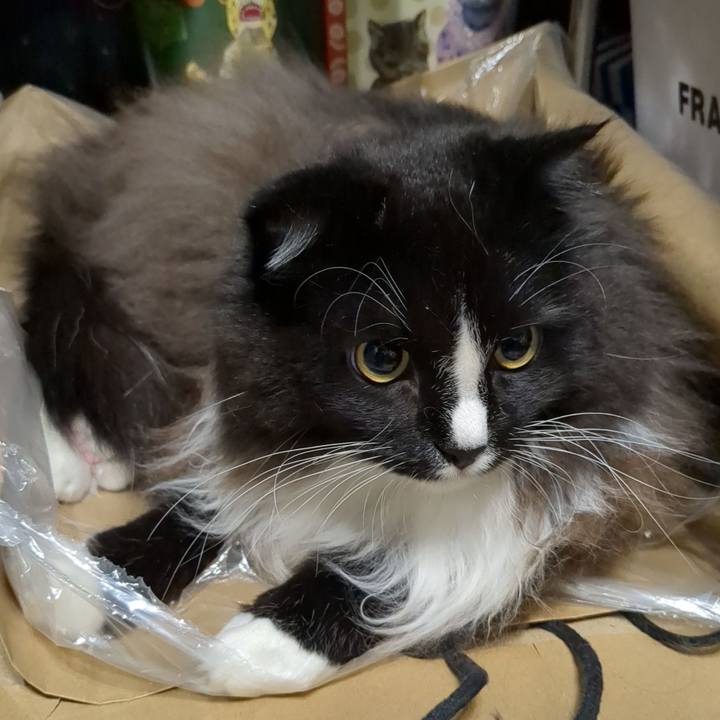 86aef36b 2aac 4786 8f9d 485b80318a14 1669719658322