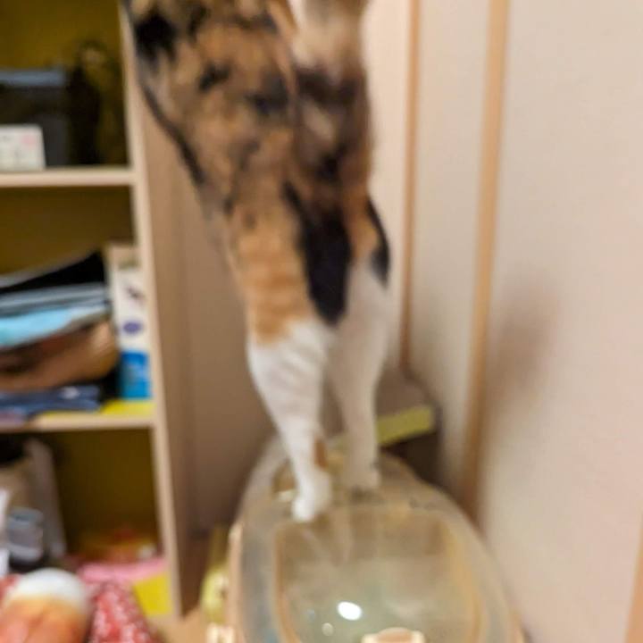 86af3791 50b1 423d a96d 52adbce81f5f 1701921026222