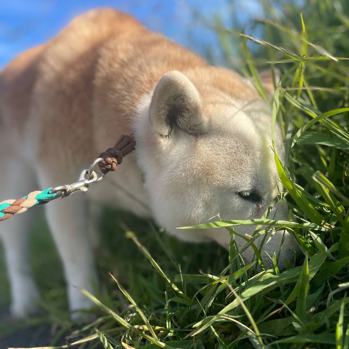 86af4028 fc77 429d 85e6 bc7d4051b58d 1690930378294