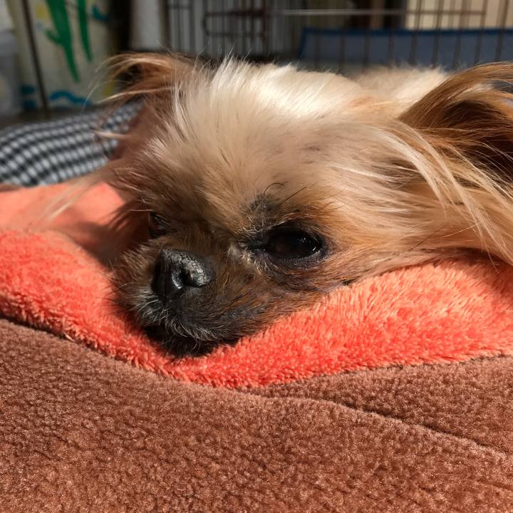 86af5bd2 d860 4502 b5bd d57e8e38cf63 1519629463304