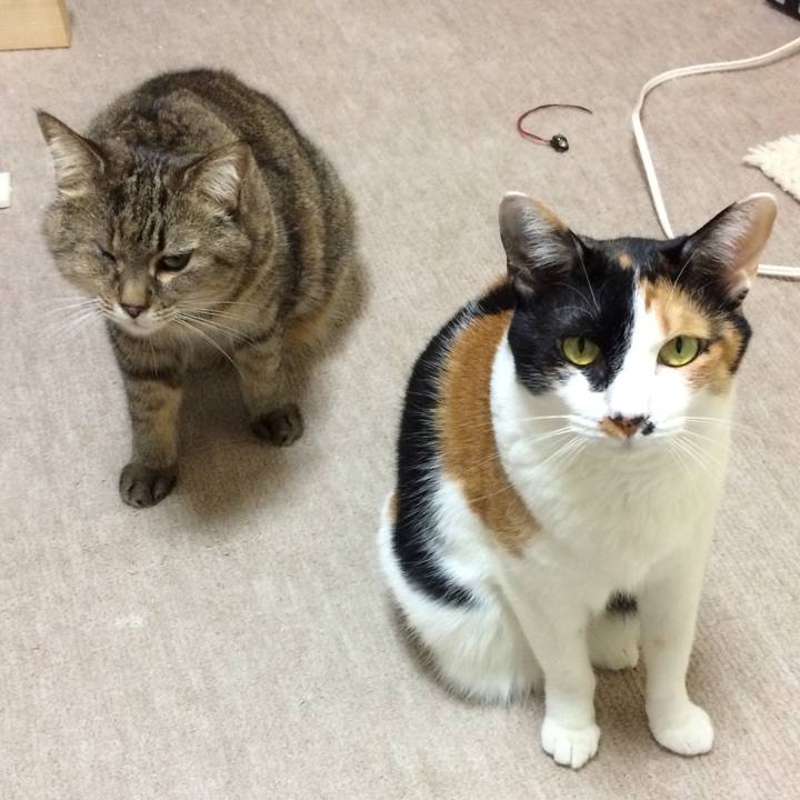 86af63f6 e31b 451b acad 527b52f30797 1591157882953