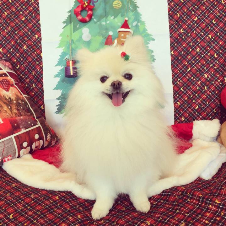 86af7da3 6427 406c 8753 6b7dde43303c 1607781068301