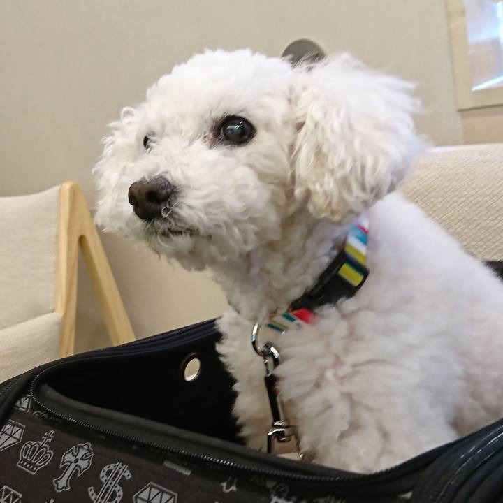 86af7e32 f234 4dd5 a817 b4742a4f6d78 1602667764360