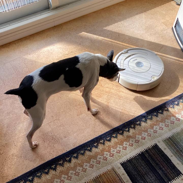 86afb71c 4e69 43d6 b517 970ef8c88e7a 1582544924863