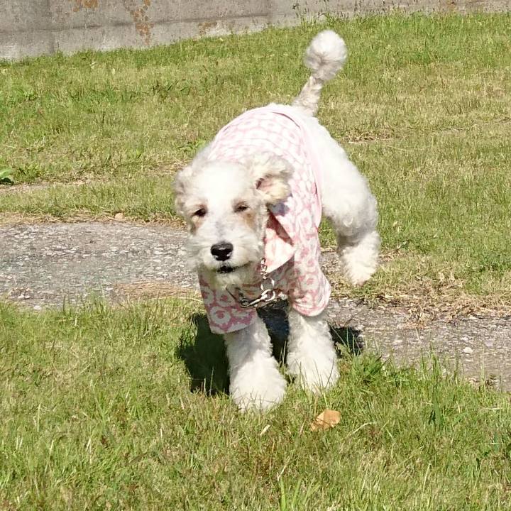 86afe19f 17d3 49c9 8985 6d29865f17e9 1510203304325