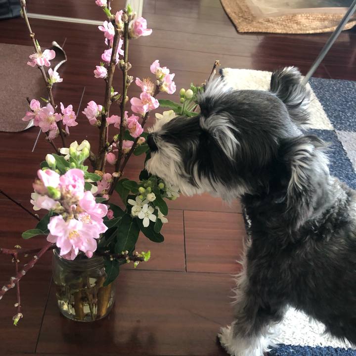 86aff17e 96e7 4680 bd4f 8e152468442c 1645836898708