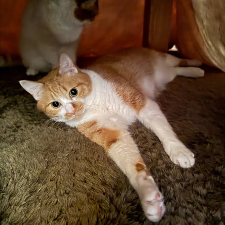 86b03956 0119 4b2e b6e9 b27e358bf4ae 1768210824435