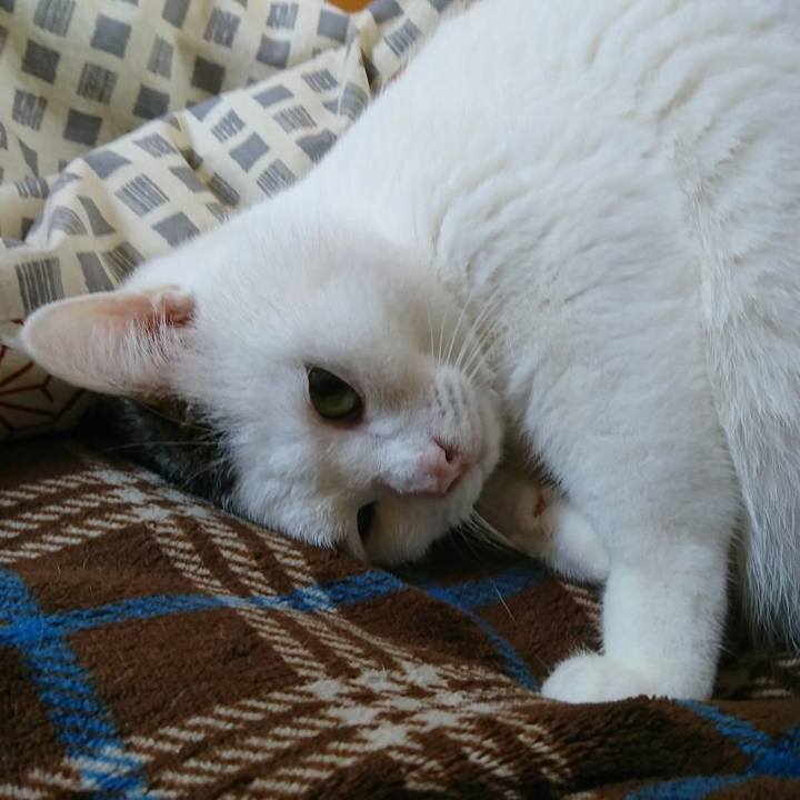 86b04b60 595a 4d80 bd9b 304b5a43fb2b 1509585291306