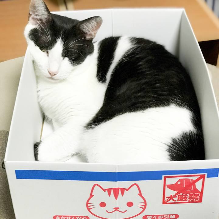 86b06144 b63e 418f b351 d165613cb5c6 1534465886041