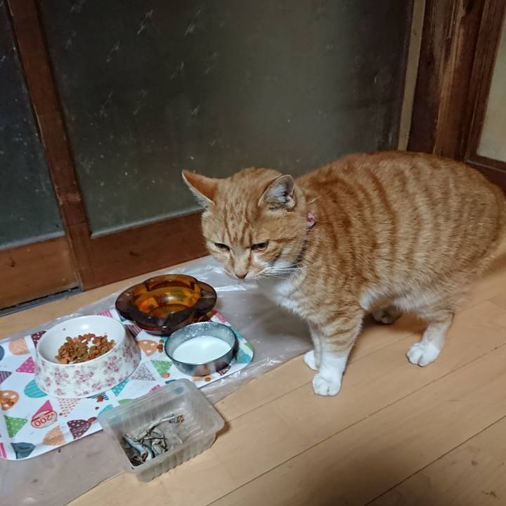 86b0c99b b9cc 4711 99af bcd5c5f395b8 1606852422015