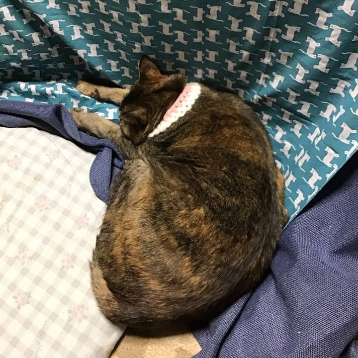 86b0d134 358a 4df2 9a06 d0d1ba1d9338 1740974825498