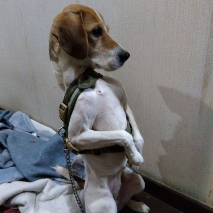 86b0da59 39e4 42e5 9cd1 5bab8dd797b2 1675689578798