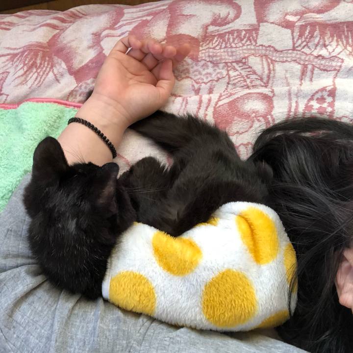 86b0e57f a03e 488e 8aa7 42174c8b2d95 1558040010761