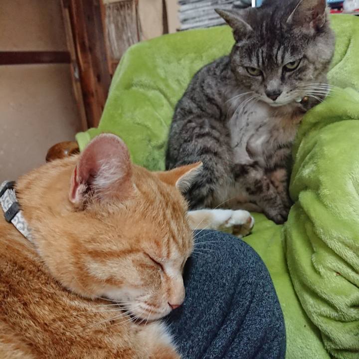 86b0e8b1 035e 4898 8882 15162cbd8f09 1588143669930