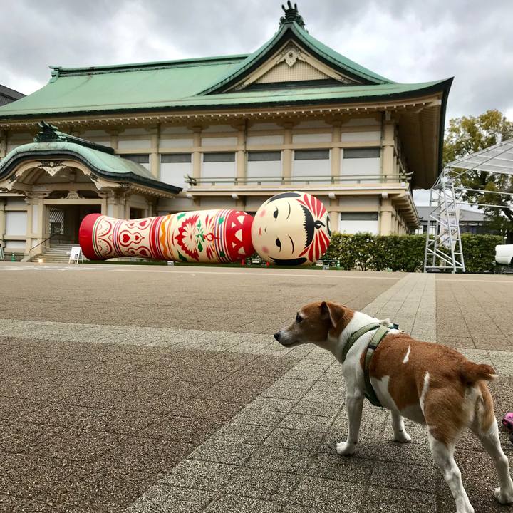 86b0e943 47a8 4c52 b821 bd3ed9298f04 1551701795615