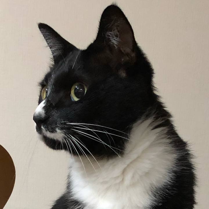 86b0f2ec 2ee4 43ed ac4c 2f0d85d112cf 1667187486874