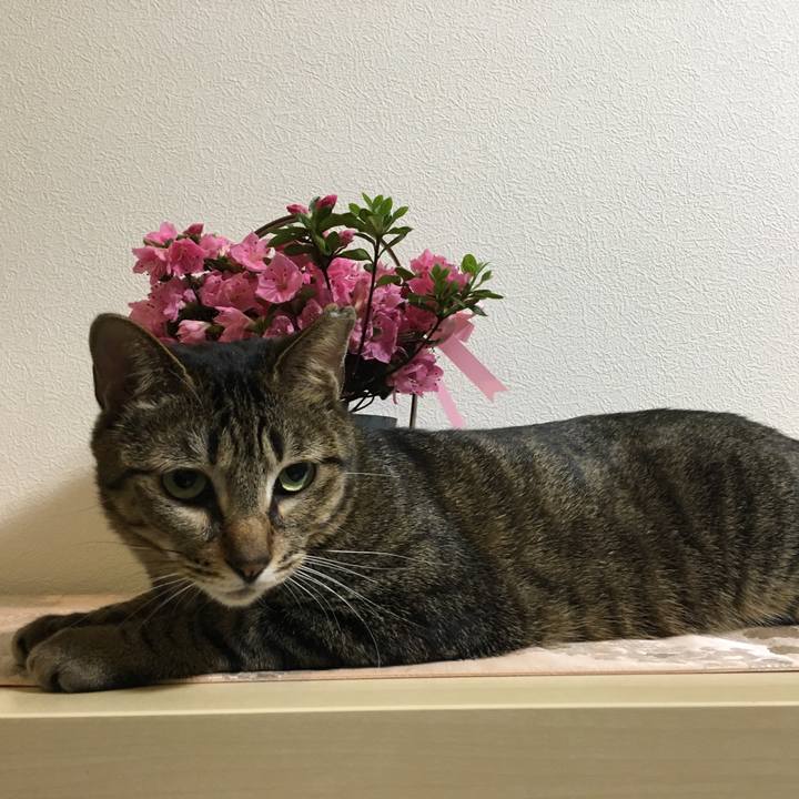 86b12263 f900 4be9 bb41 288d604f2496 1522493579708