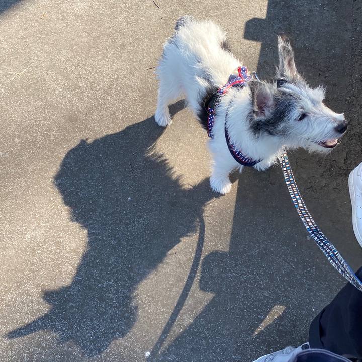 86b139c1 078e 48be a0b2 448b508d8e3f 1600775219714