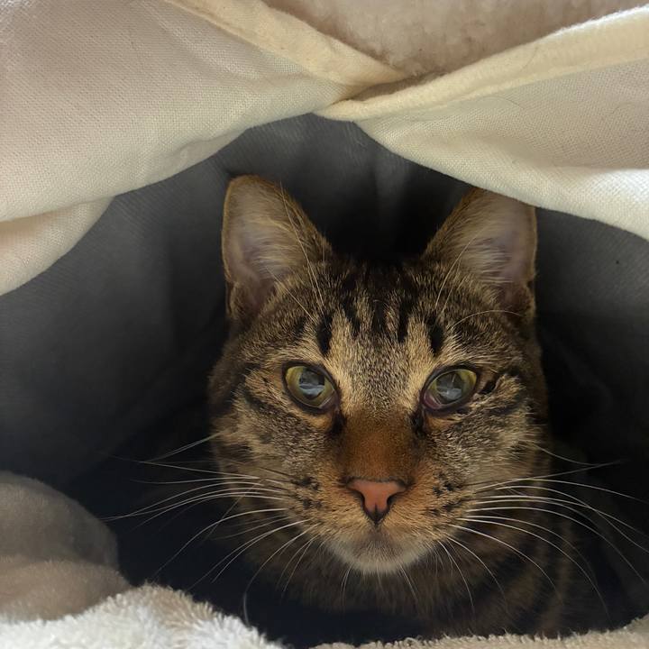 86b16018 d50d 4e87 9c82 324fc32e3454 1762073774485