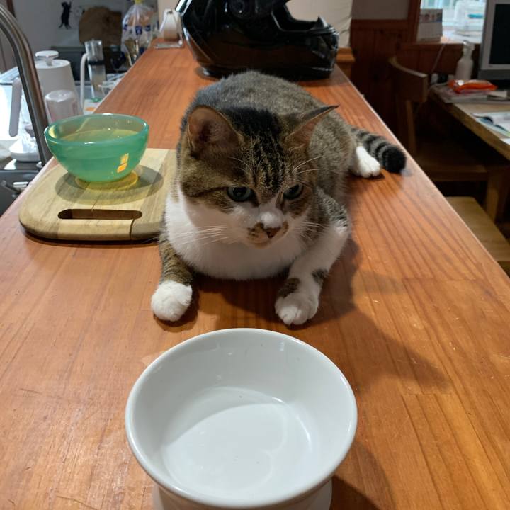 86b18a66 5f07 4a64 8301 7ee77c7aafff 1660945517563