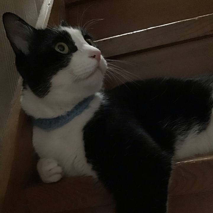 86b1ae44 d779 4b7f b006 58a7dff144a3 1750675256085