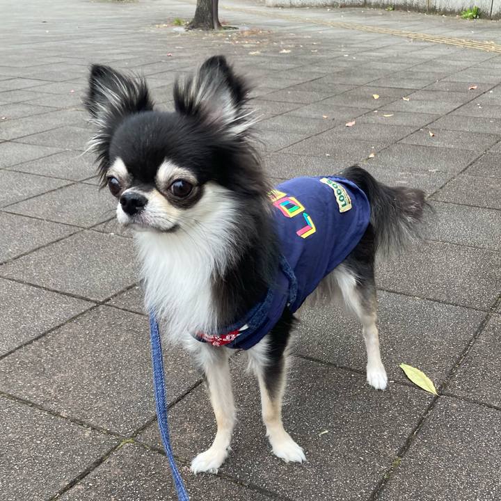 86b1b5a5 8a5e 4220 94ad 2ce1dce0a68a 1637463301307