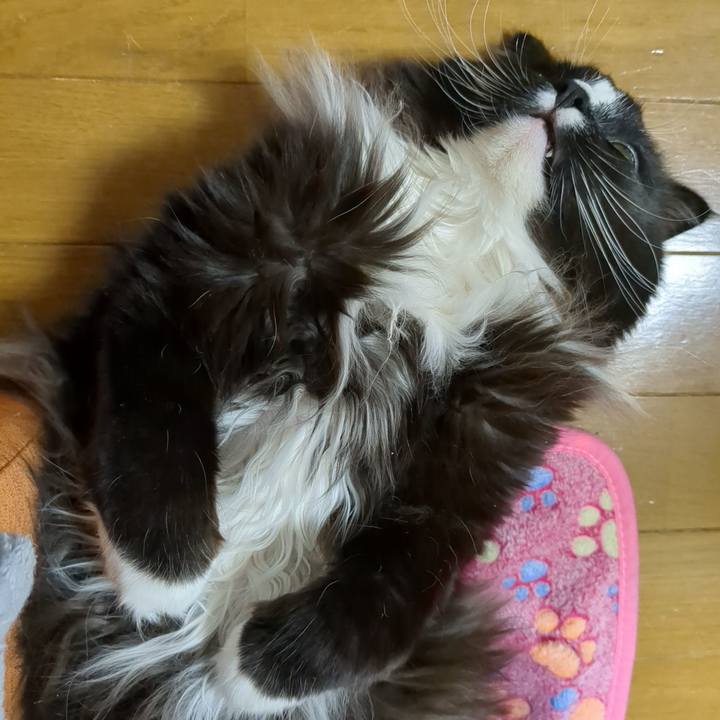 86b1d1ac 1bea 4c59 92f3 471a42e09620 1678438432605