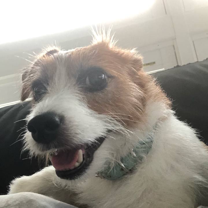 86b1ea85 d9c1 4c9b 950a 2087760d6204 1570314186102