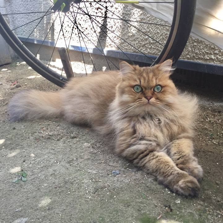 86b1f06d 0cff 455c 8233 71489fd2aa90 1524280525839