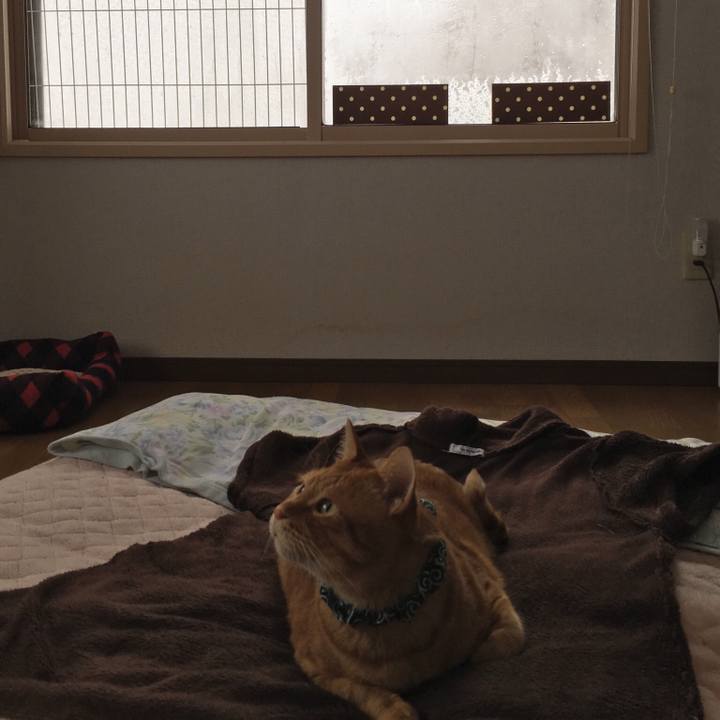 86b1f121 1f49 48bf bc09 83ddd0a6916b 1546138803115