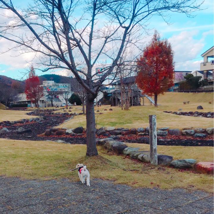 86b1fac8 84b2 43a3 ba09 924c996b8333 1511624147702