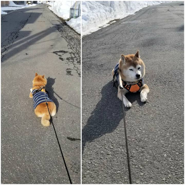 86b20974 8607 4c66 8c36 75a71c3f695b 1672978897505