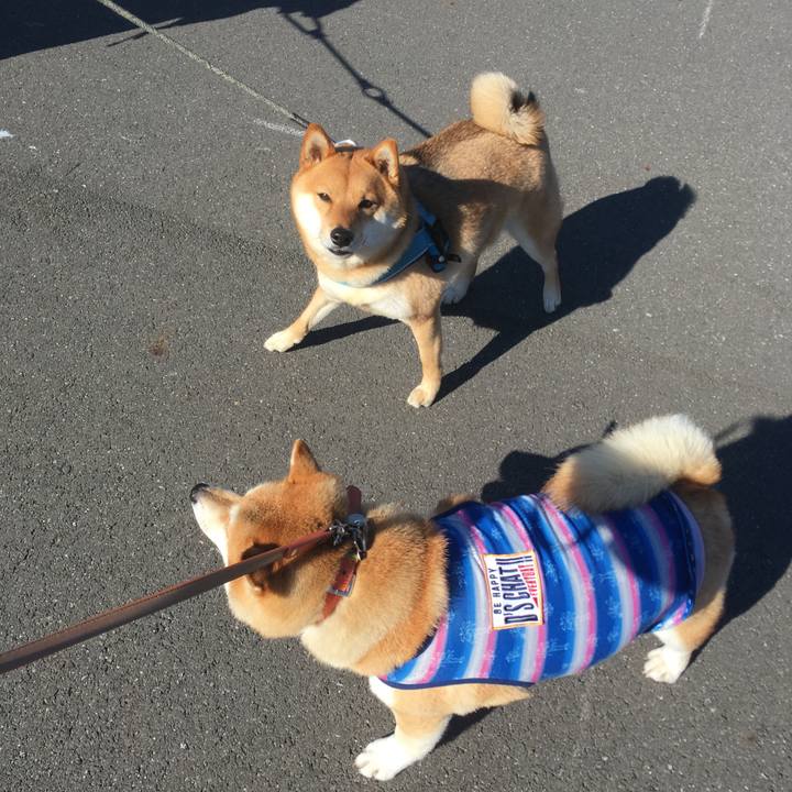 86b20c91 50f8 4f93 ace0 644891b9e131 1548132473920