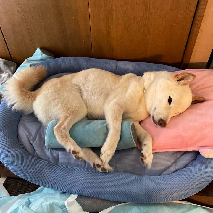 86b20d3b 6654 4c84 aa44 86121cbdd7bc 1652324478207