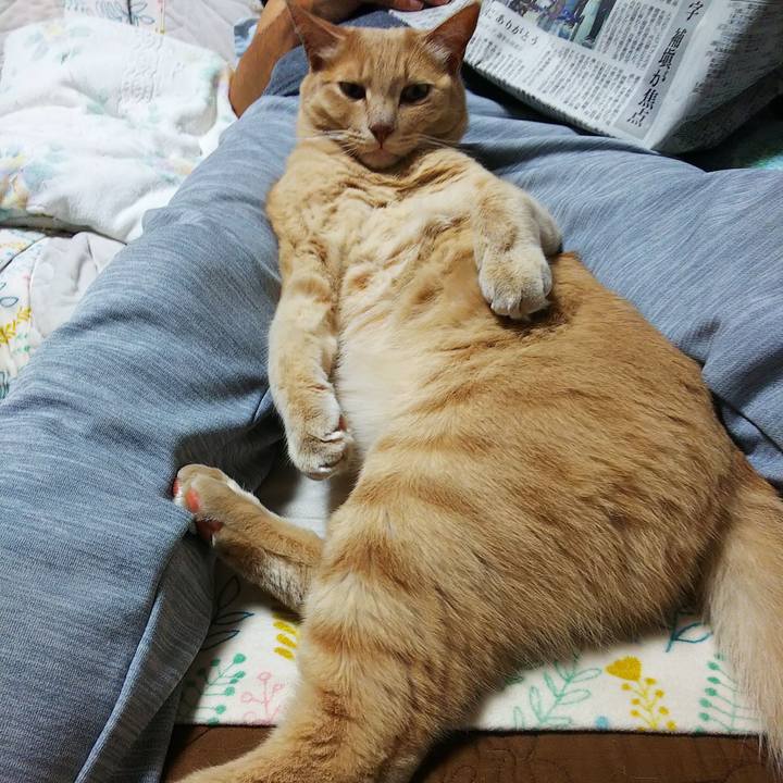 86b254b6 7e02 480a bcfb 3ec89926bfdc 1631011817334