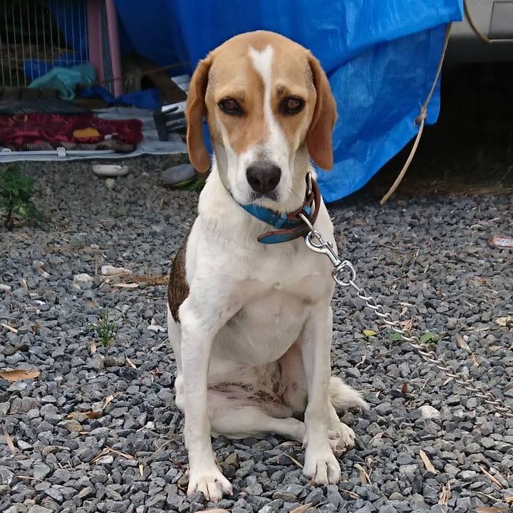 86b26d42 a0b3 4e69 a13a be28113622a7 1639225092826